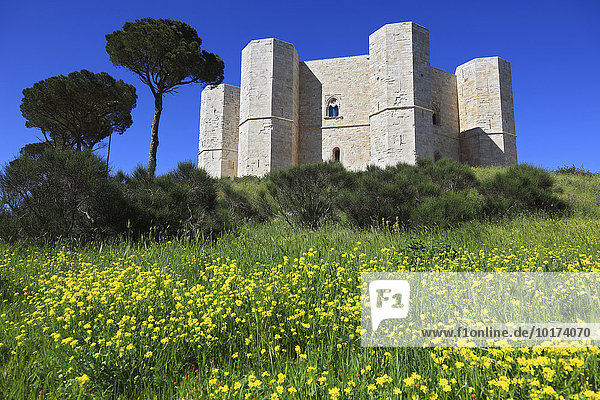 Castel del Monte  Apulien  Italien  Europa