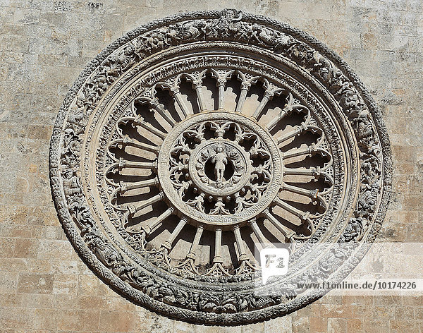 Rosette  Kathedrale Santa Maria Assunta  Ostuni  Apulien  Italien  Europa