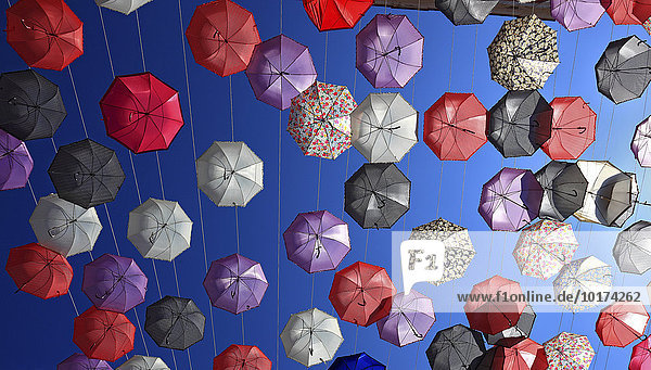 Aufgespannte Regenschirme  Schirme als Straßendekoration  Manfredonia  Appulien  Italien  Europa