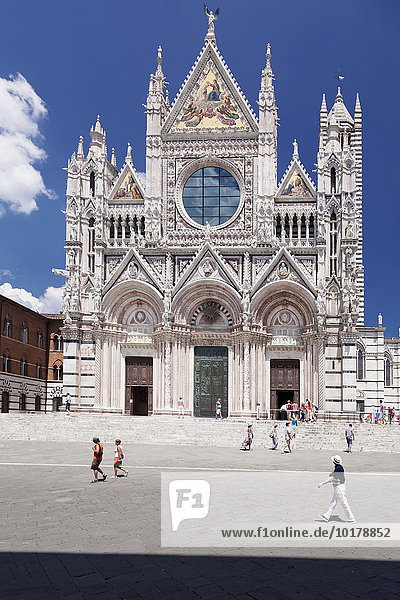 Piazza del Duomo mit dem Dom Santa Maria Assunta  UNESCO Weltkulturerbe  Siena  Toskana  Italien  Europa