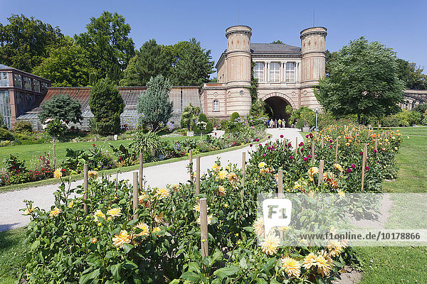 Eingang zum Botanischen Garten am Schloss  Karlsruhe  Baden Württemberg  Deutschland  Europa