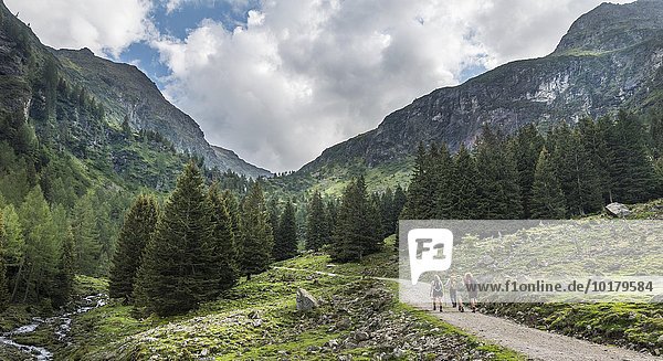 Hikers in Rohrmoos-Untertal  Styria  Austria  Europe