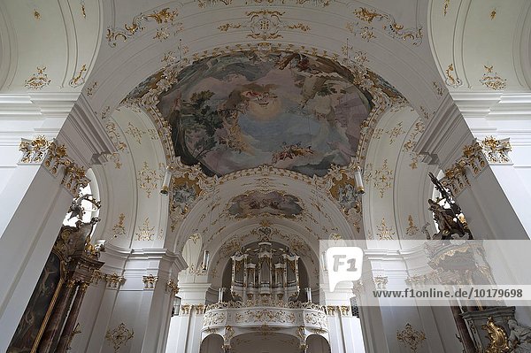 Deckenfresko und Orgelempore der spätbarocken Klosterkirche  Schäftlarn  Oberbayern  Deutschland  Europa