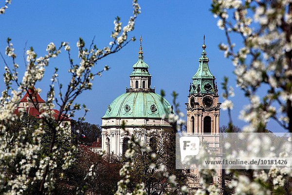 Prag Hauptstadt blühen Hügel Kirche Tschechische Republik Tschechien Ansicht Petrin