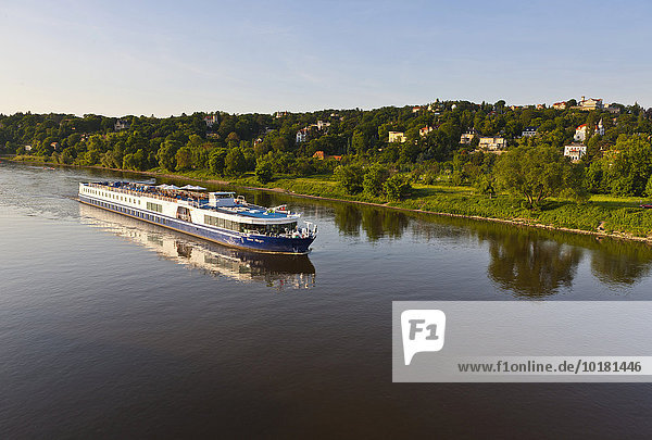 Cruise ship on the river Elbe at sunrise  near Dresden  Saxony  Germany  Europe