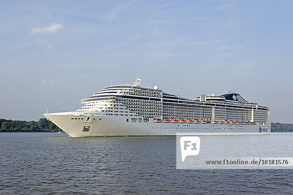 Kreuzfahrtschiff MSC Splendida auf der Elbe  Finkenwerder  Hamburg  Deutschland  Europa