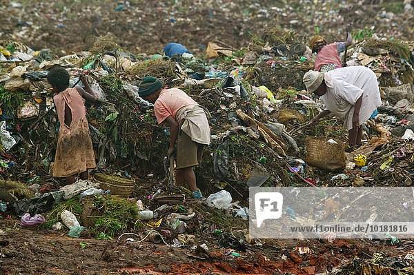 Menschen wühlen im Müll einer Deponie  Manantenasoa  Antananarivo  Madagaskar  Afrika