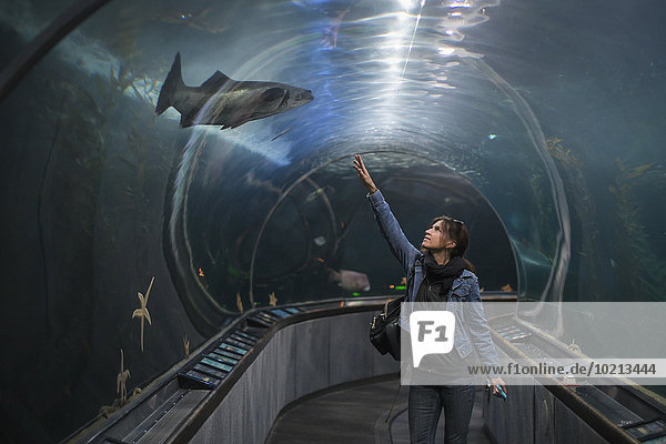 Caucasian woman admiring shark in aquarium tunnel
