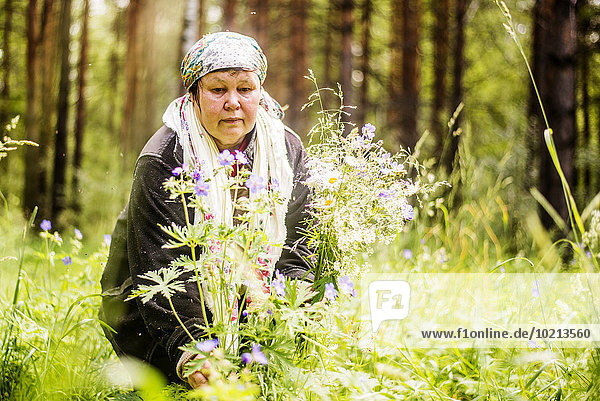 Europäer Frau geselliges Beisammensein Wald Wildblume