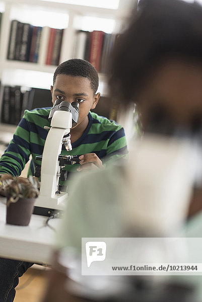 Black students using microscopes in science lab