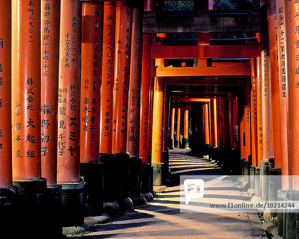 Korridor Korridore Flur Flure Tradition Abenddämmerung Japan Kyoto Schrein