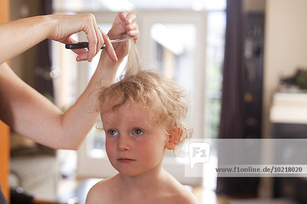 Europäer Sohn schneiden Mutter - Mensch Haar