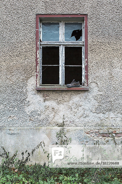 Deutschland  Brandenburg  Fassade und Fenster eines baufälligen Wohnhauses