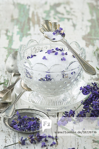 Lavendelzucker in Glasschale,  frischer Lavendel auf Holz