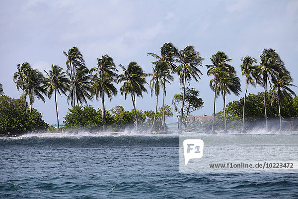 Malediven  Süd Male Atoll  die an einem stürmischen Tag an der Küste ankommen.