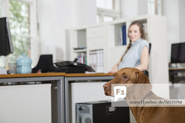Dog and woman in office