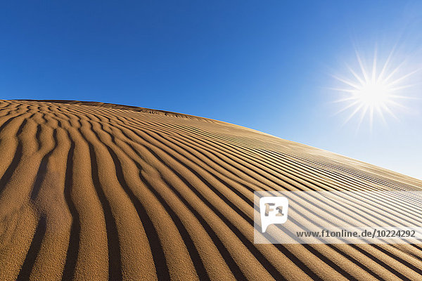 Afrika  Namibia  Namib Wüste  Namib-Naukluft Nationalpark  Wüstendüne gegen die Sonne