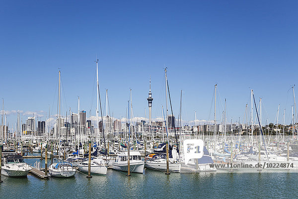 Neuseeland  Auckland  Westhaven Boat Harbour  City Skyline mit Sky Tower im Hintergrund  Central Business Disctrict