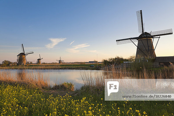 Niederlande  Kinderdijk  Kinderdijk Windmühlen