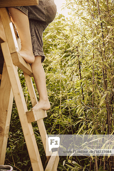 Beine eines Jungen,  der in einem Bambusgarten auf eine Holzleiter klettert.