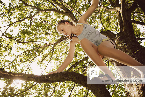 Mädchen klettert durch die Äste eines Baumes