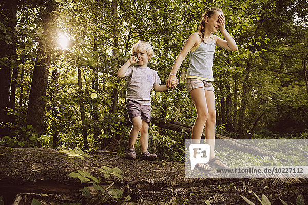 Little boy and girl balancing on fallen tree in forest