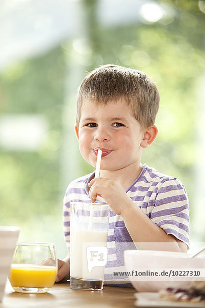 Porträt eines Jungen  der Milch mit Stroh trinkt