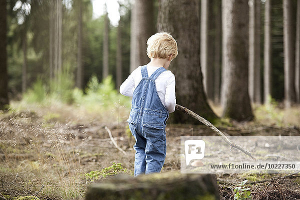 Kleiner Junge mit Ast  der im Wald spielt