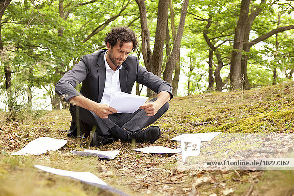 Deutschland  Geschäftsmann im Wald sitzend  Dokumente lesend