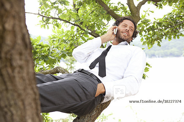 Deutschland  entspannter Geschäftsmann im Baum liegend telefonierend
