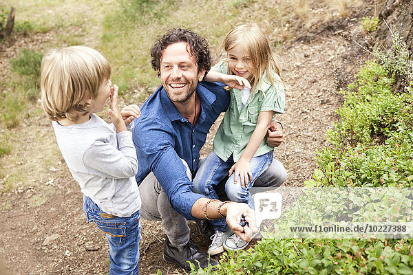 Vater mit zwei Kindern beim Blaubeerensammeln in der Natur