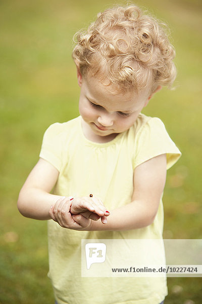 Kleines Mädchen beobachtet Marienkäfer auf der Hand