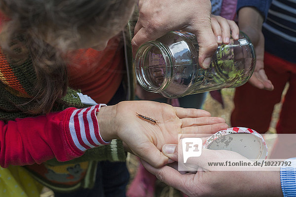 Deutschland  Kinder sammeln Würmer in der Natur