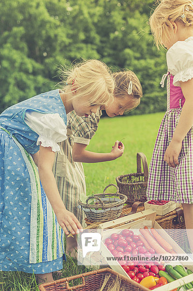 Deutschland  Sachsen  drei kleine Mädchen in traditioneller Kleidung mit ihrer Ernte auf einer Wiese
