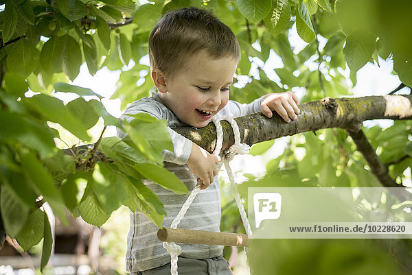 Lttle boy climbing up a rope ladder