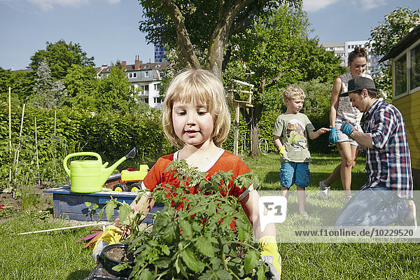 Girl carrying tray with seedlings in garden