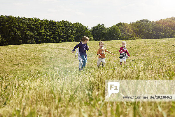 Four little children running on a meadow