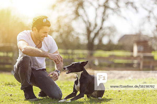 Mann trainiert seinen Hund auf einer Wiese