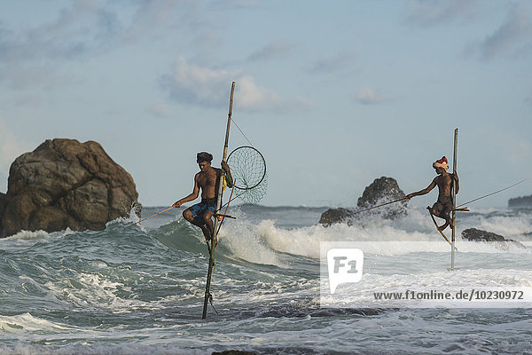 Sri Lanka Galle Stelzenfischer