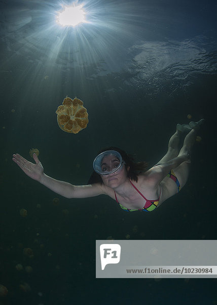 Palau Frau taucht umgeben von Quallen