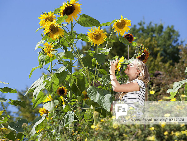 Junge Frau steht in einem Garten mit Sonnenblumen
