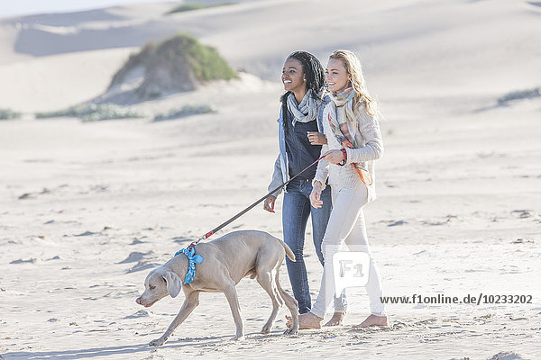 Südafrika  Kapstadt  zwei Freunde  die mit dem Hund am Strand spazieren gehen.