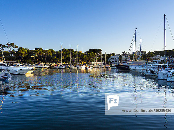 Spanien Mallorca Blick auf die Boote von Portopetro