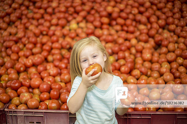 Kleines Mädchen vor dem Tomatenstand beim Tomatenessen