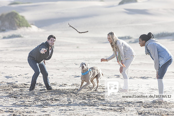 Südafrika  Kapstadt  drei Freunde spielen am Strand mit Hund
