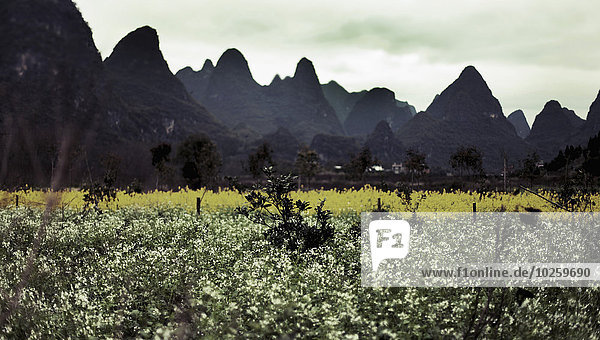 Feld gegen Gebirge,  Huanggyao,  China