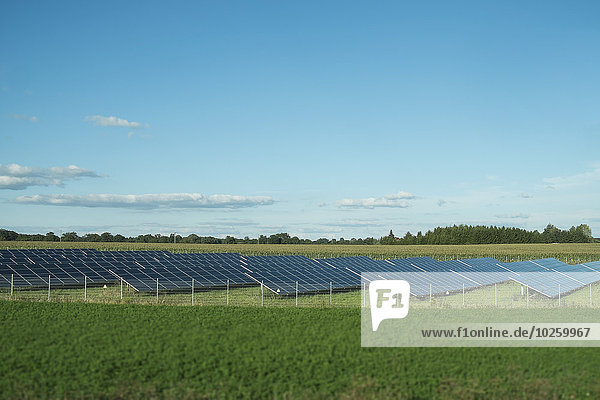Feld,Sonnenenergie,Reihe