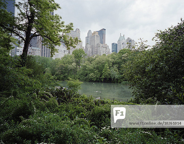 Bäume und Teich gegen Wolkenkratzer Central Park Manhattan New York City USA