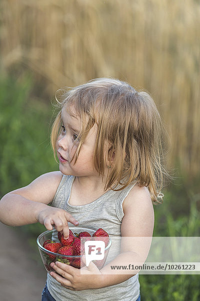 Außenaufnahme,niedlich,süß,lieb,halten,Erdbeere,Mädchen,voll,freie Natur
