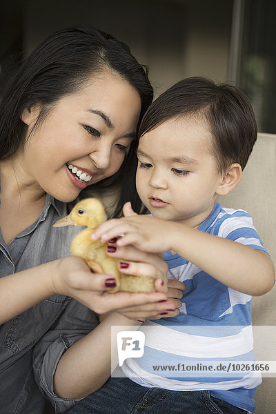 Smiling woman holding a yellow duckling in her hands  her young son stroking the animal.